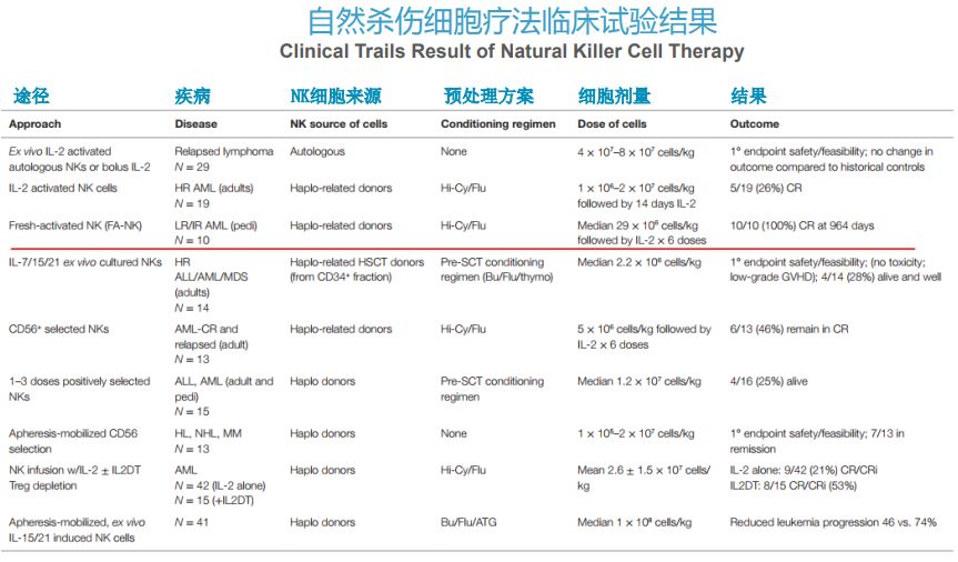 NK细胞疗法疗效显著
