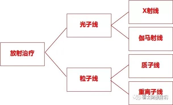 重离子质子治疗是什么、效果怎么样、可以治疗哪些肿瘤