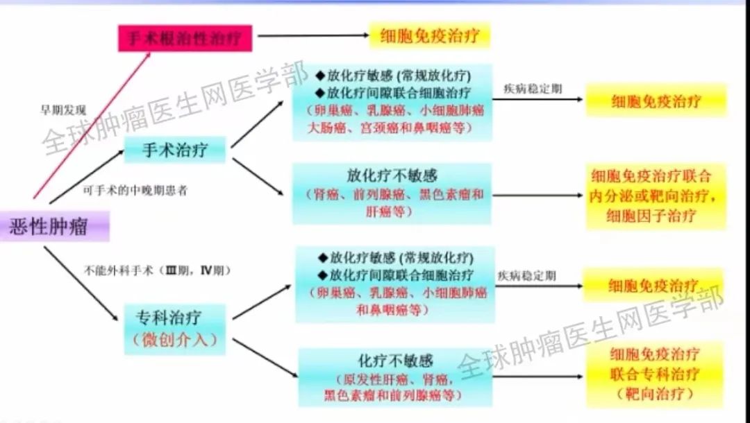 肿瘤10年没复发!这些抗癌成功的人做对了3件事!