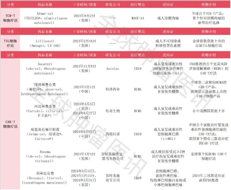 2024全球八大免疫细胞疗法震撼获批!助白血病、淋巴瘤、肉瘤等近十款癌症患者重获