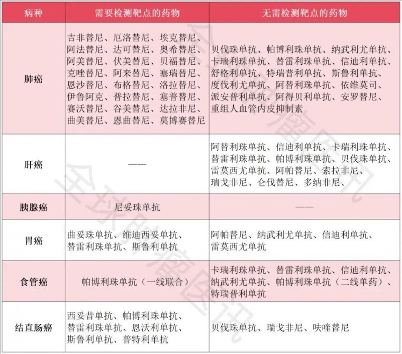 特定癌症多基因检测组合的基因一览