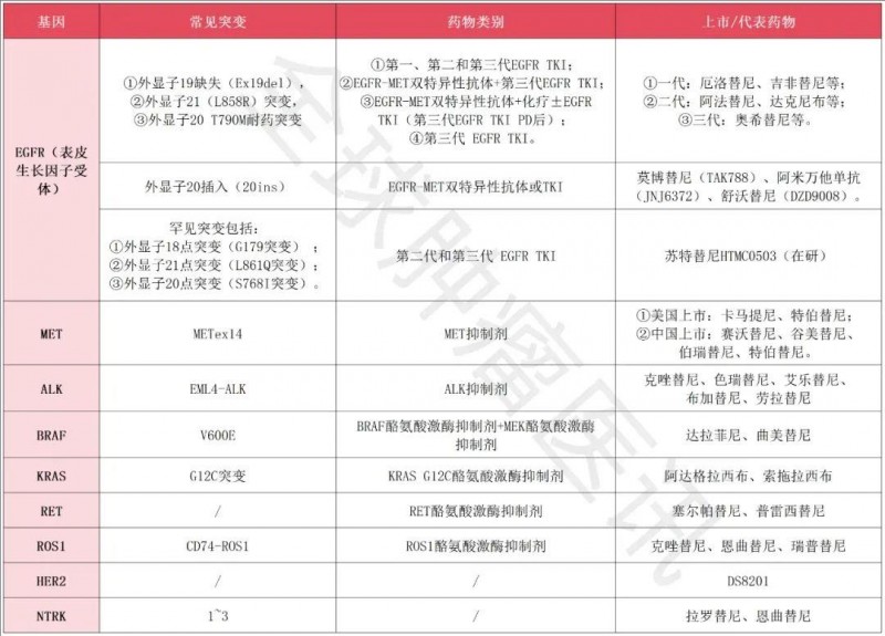 难治的稀有突变型就要用“特效药”!我国自主研发JMT-101再战非小细胞肺癌