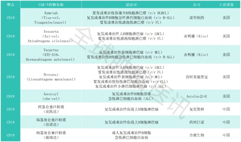 CD19 CAR-T细胞疗法