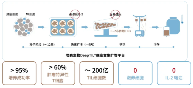 TIL细胞疗法