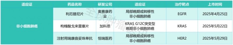 2025年已经获批上市的国产1类肺癌新药
