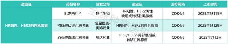 2025年已经获批上市的国产1类乳腺癌新药