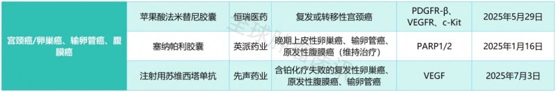2025年已经获批上市的宫颈癌、卵巢癌、输管卵癌、腹膜癌1类创新药