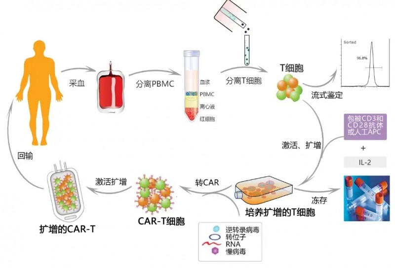 CAR-T细胞制备流程