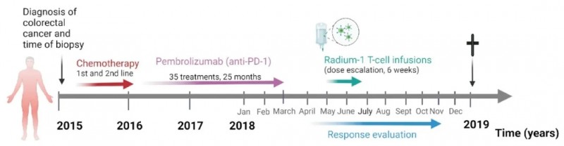 Rad-1 TCR-T