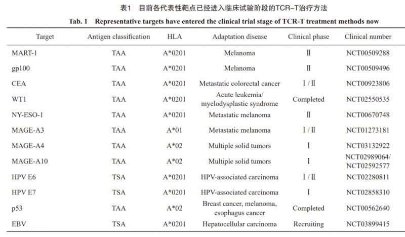 目前已经进入临床试验阶段的代表性靶点及TCR-T疗法