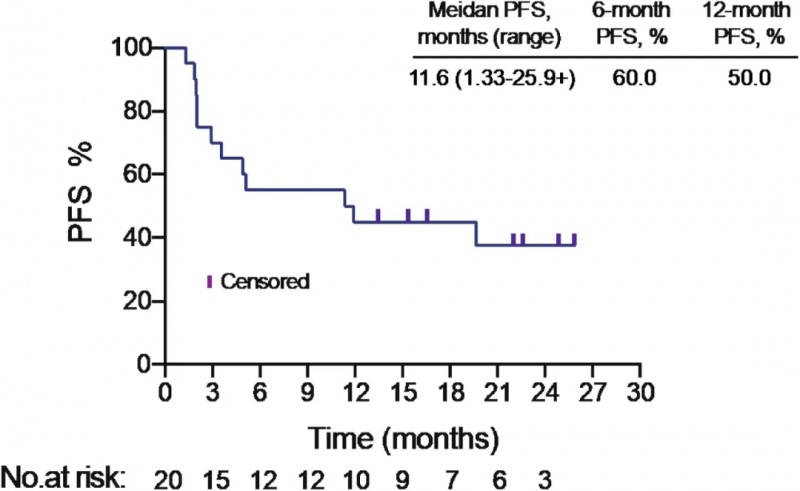NK细胞联合PD-1治疗晚期非小细胞肺癌的中位无进展生存期
