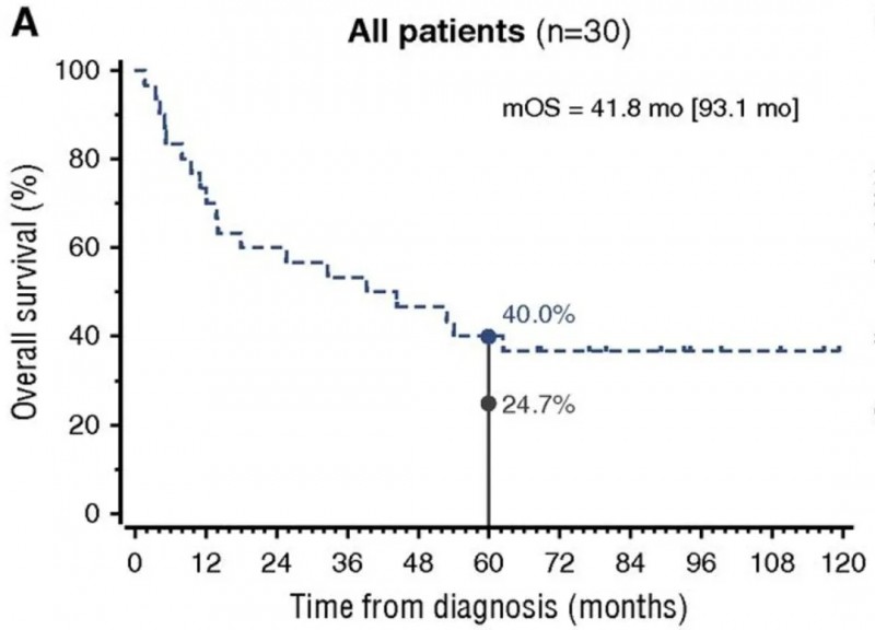 WT1 DC疫苗治疗高危急性髓系白血病的数据