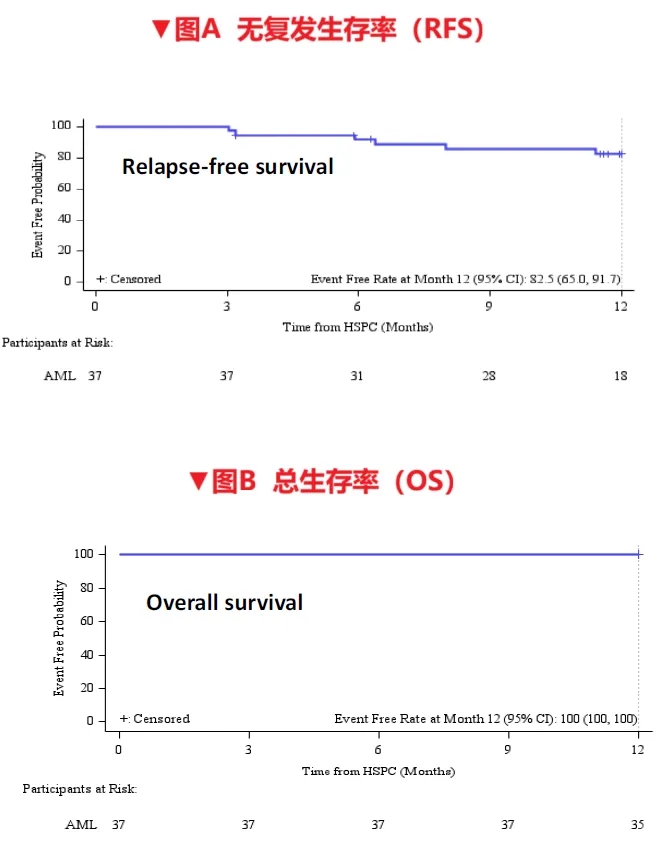 Orca-T治疗血液肿瘤的数据