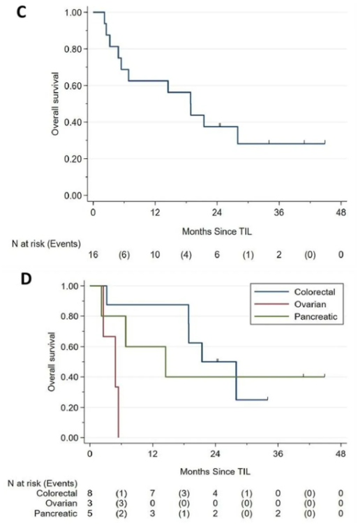 TIL细胞疗法治疗实体瘤的中位总生存期