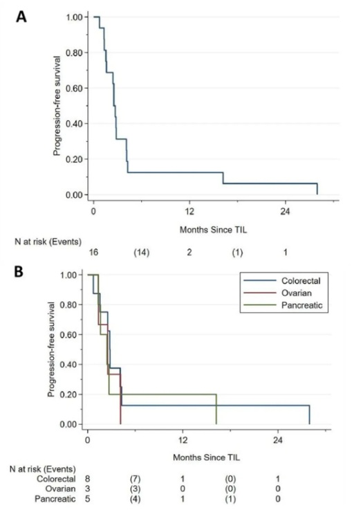 TIL细胞疗法治疗实体瘤的中位无进展生存期