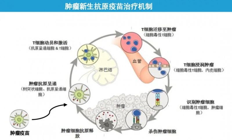 国产mRNA癌症疫苗LK101实现5年生存率100%，海南博鳌已可申请