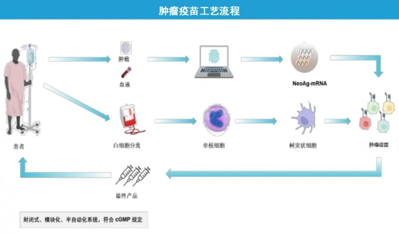 肿瘤疫苗工艺流程