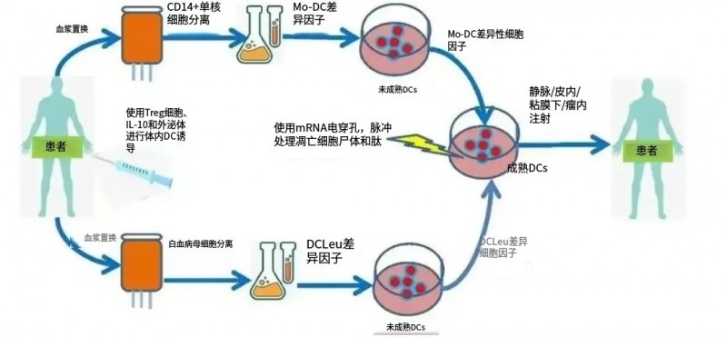LK101的治疗流程