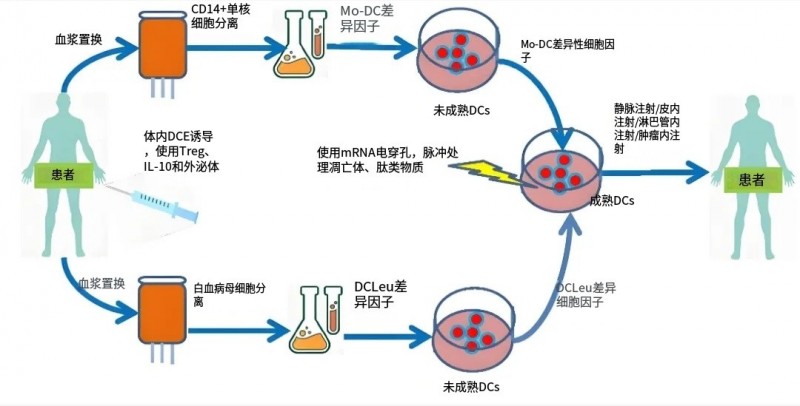帮免疫系统“重启”，看DC疫苗如何让“绝症”变成慢病