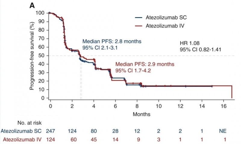 阿替丽珠单抗皮下注射剂的无进展生存期