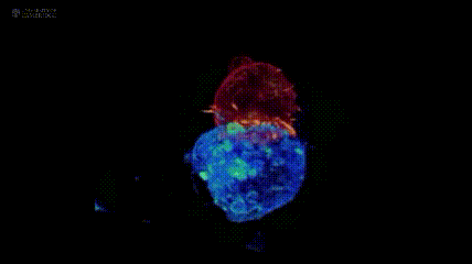 2万+患者印证:主动出击才是王道,免疫疗法跳出"兜底"局限,早期联合重塑多癌种预