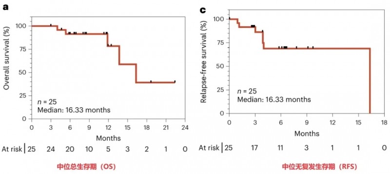 ELI-002疫苗治疗胰腺癌的数据