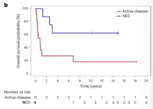 CAR-T疗法助神经母细胞瘤的数据