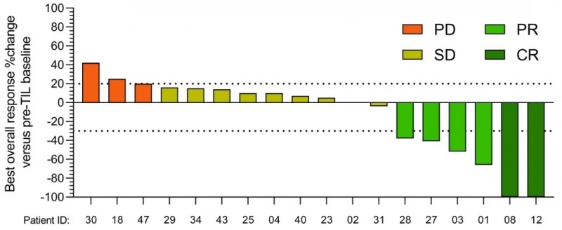 TIL疗法GC203治疗卵巢癌的数据