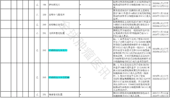 2025年版医保目录协议期内谈判西药部分