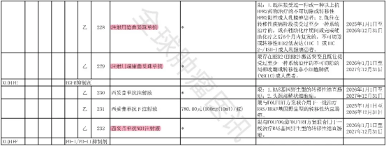 2025年版医保目录协议期内谈判西药部分
