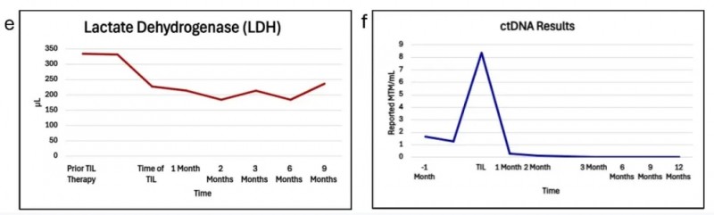 TIL细胞疗法治疗晚期黑色素瘤的数据