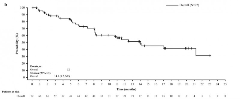 obe-cel CAR-T细胞疗法治疗白血病的数据