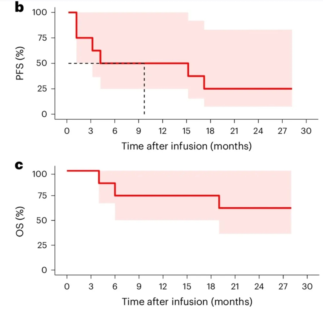 2025 CAR-NK四大重磅进展,MRD-CR率100%满分领跑,缓解率创新高
