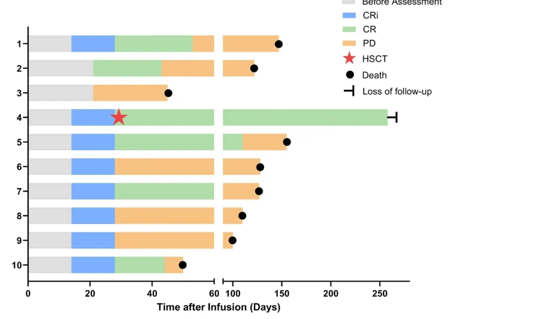 CD33 CAR-NK细胞疗法治疗白血病的数据