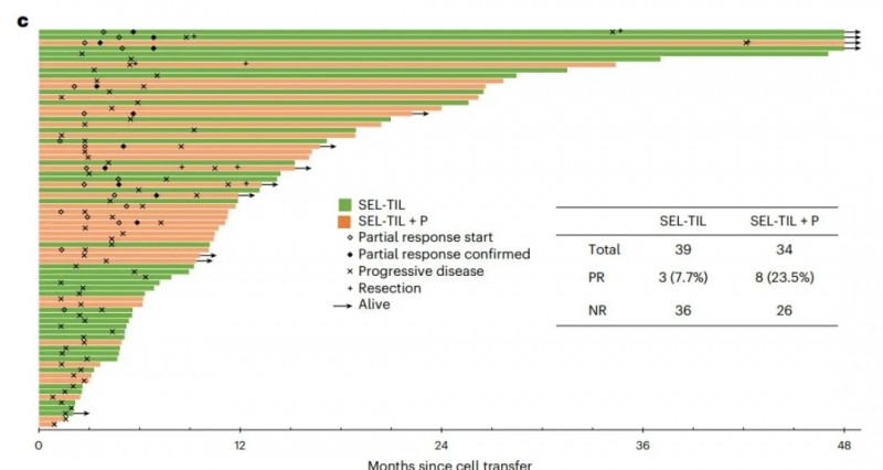 TIL细胞疗法治疗数据