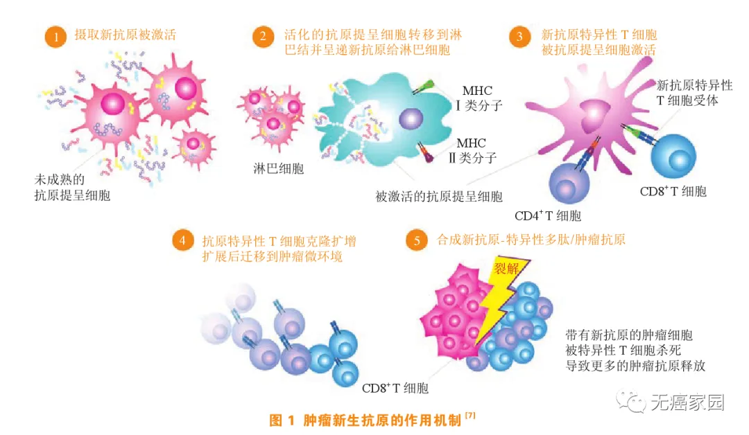4例癌症患者病灶完全消失！个性化新抗原疫苗联合疗法获新突破！总缓解率达75%！