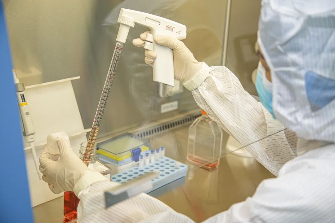 聚焦 NK 细胞技术突破|肿瘤治疗 NK 细胞生物医学新技术研讨会圆满落幕