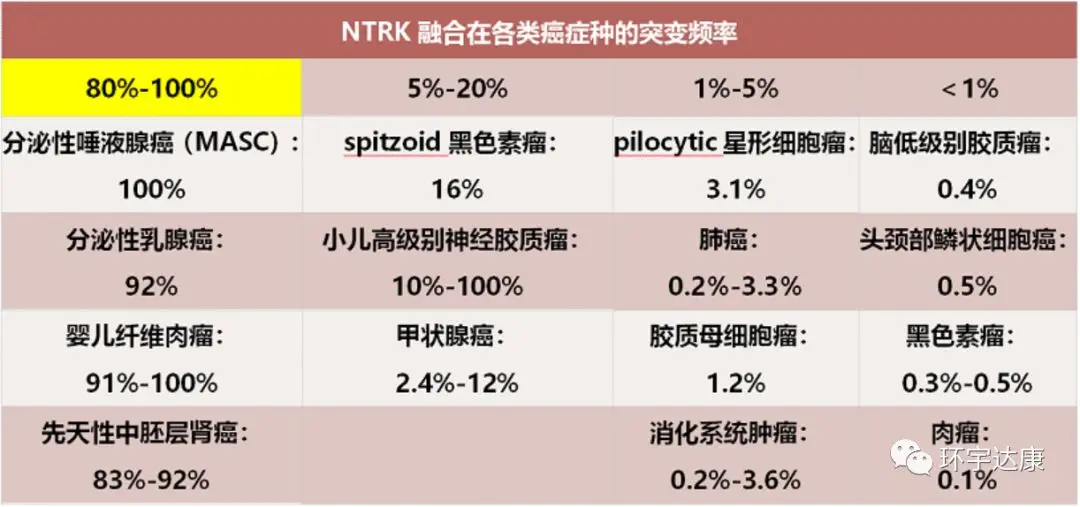 难治的稀有突变型就要用“特效药”！我国自主研发JMT-101再战非小细胞肺癌