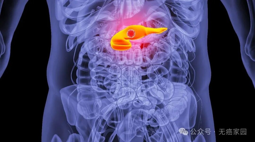 87.5%存活超6年！mRNA疫苗率先击穿“癌王”，黑色素瘤、脑瘤等多款疫苗强势跟进