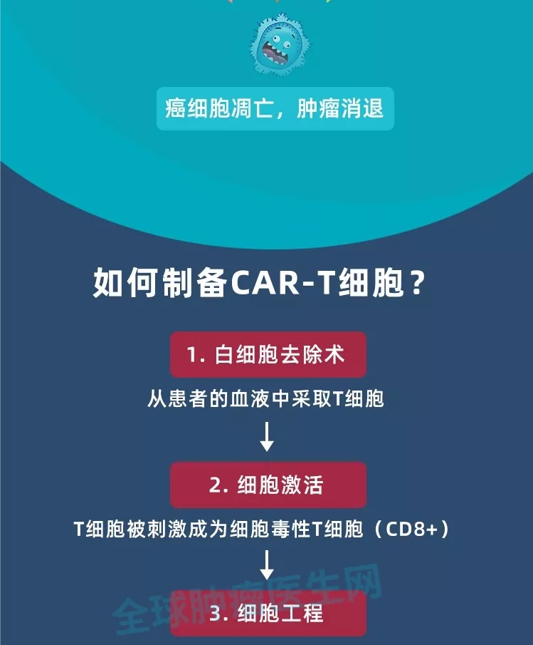 CAR-T细胞制备
