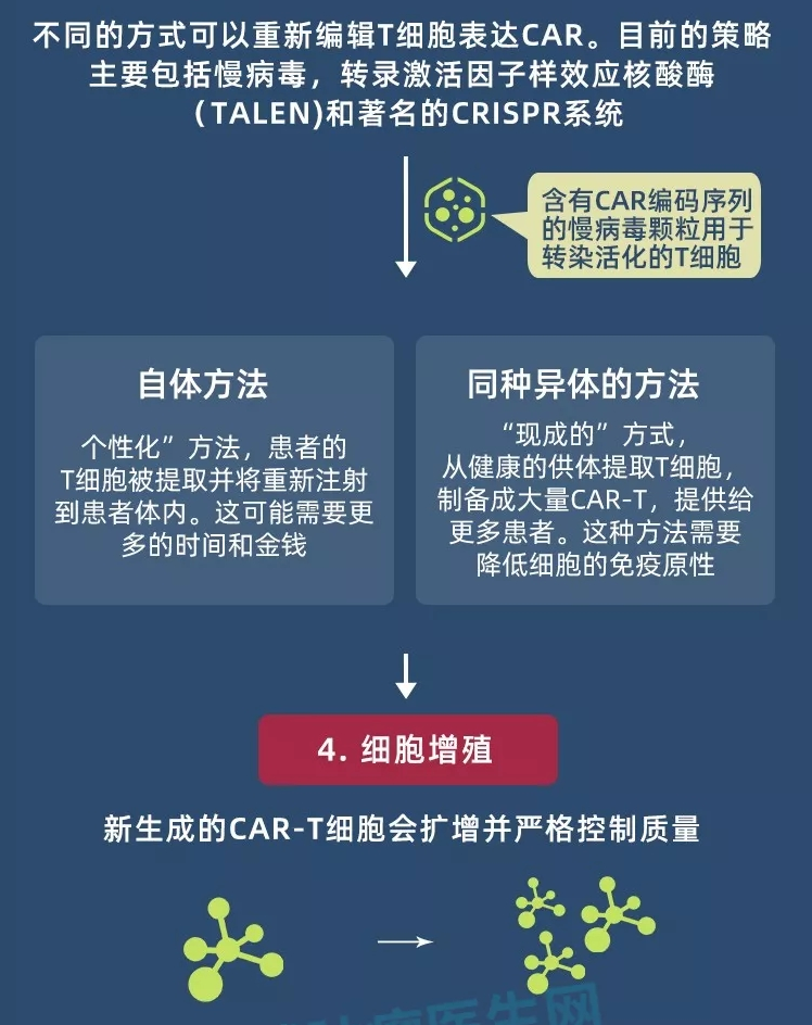 CAR-T细胞制备
