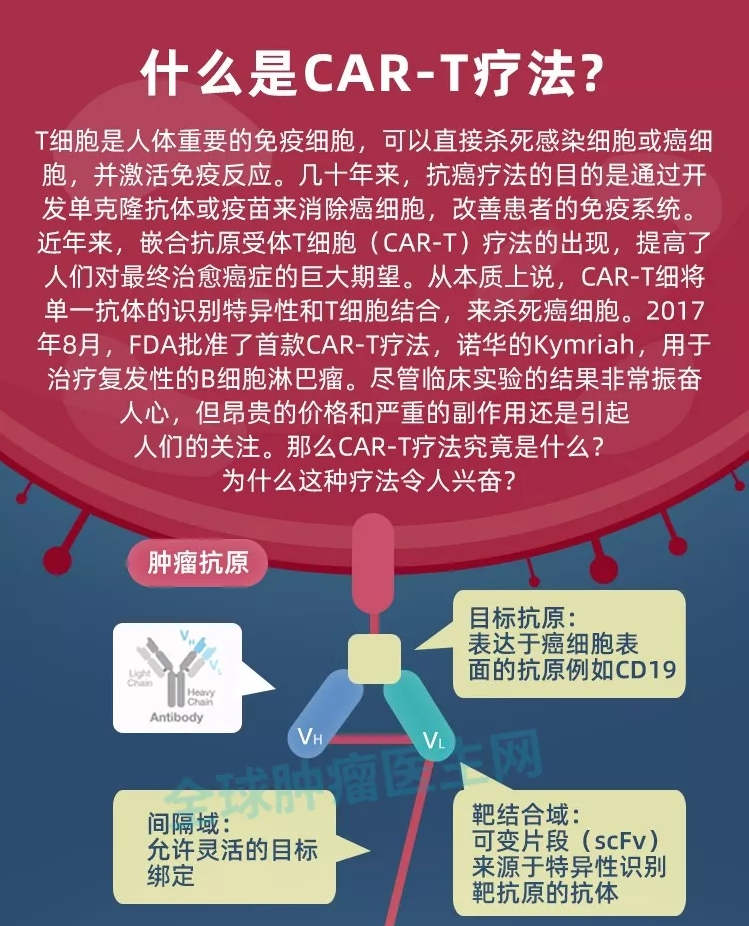 什么CAR-T疗法