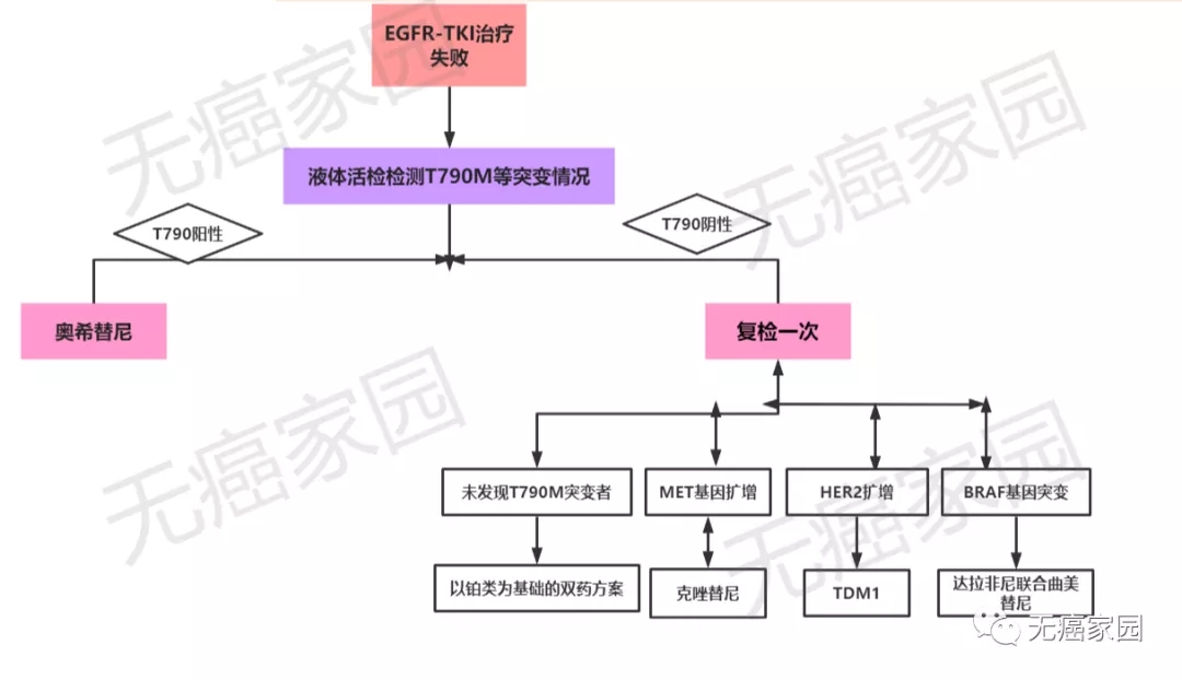 出现耐药成了肺癌患者治疗的"拦路虎"!如何判断靶向药耐药?耐
