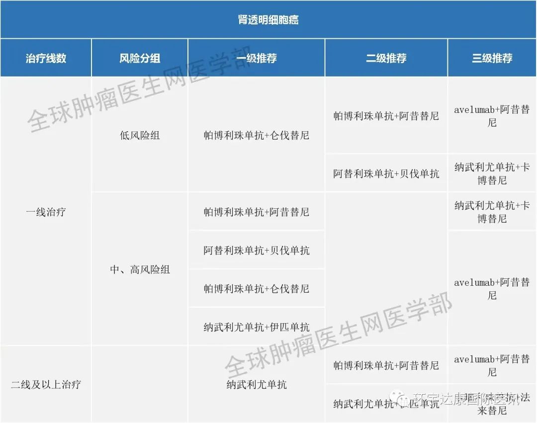 肾癌免疫治疗指南
