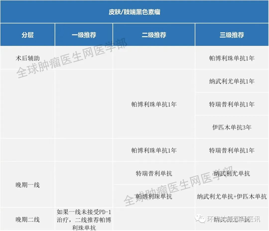 黑色素瘤免疫治疗指南