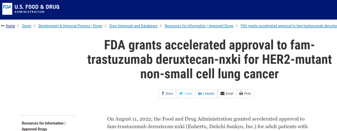 Enhertu(DS8201、Trastuzumab Deruxtecan、T-