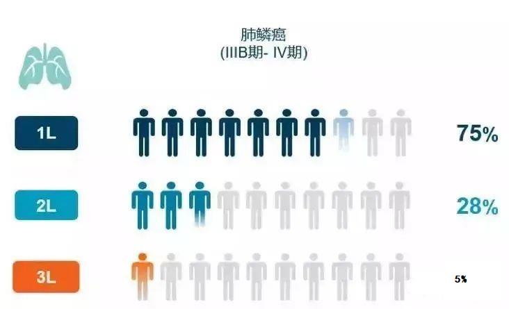 免疫治疗晚期肺鳞癌的数据