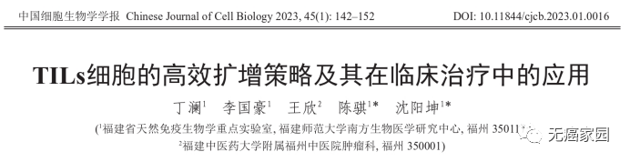实体瘤杀手锏TILs疗法上市在即!重燃黑色素瘤、肺癌、卵巢癌患者第二次生命!