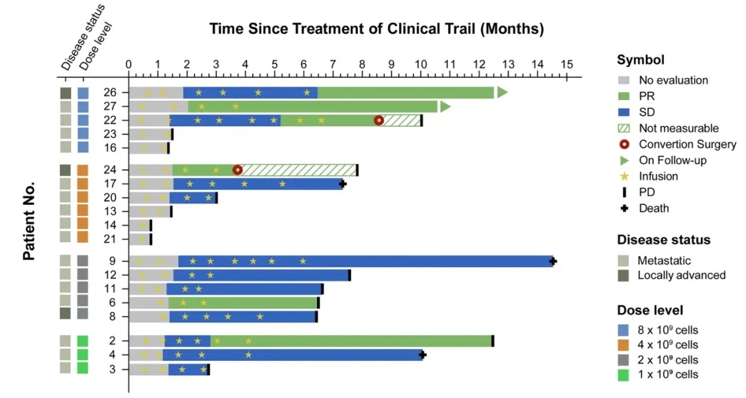 异基因NK细胞联合GS方案治疗胰腺癌的数据