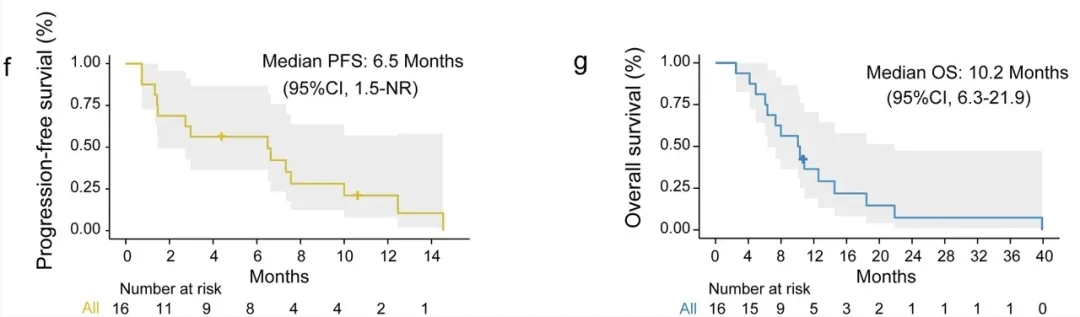 异基因NK细胞联合GS方案治疗胰腺癌生存期数据